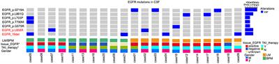 Tyrosine Kinase Inhibitors Could Be Effective Against Non-small Cell Lung Cancer Brain Metastases Harboring Uncommon EGFR Mutations